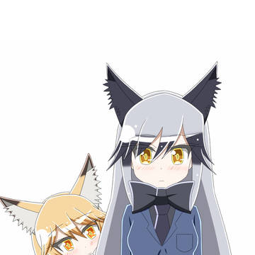 キタキツネとギンギツネ