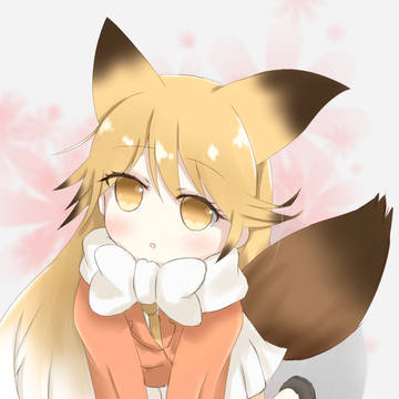キタキツネ(幼)