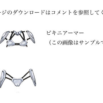 シルヴィちゃんのオリジナル衣装パッケージその2