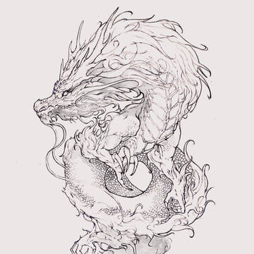 龙
