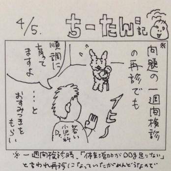 ちーたん日記 その2