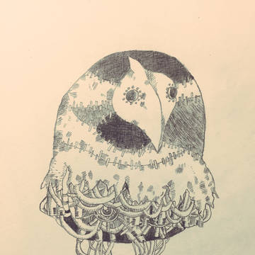 鳥紛い