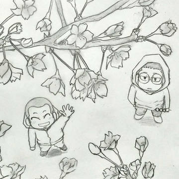 桜
