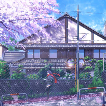 花 01
