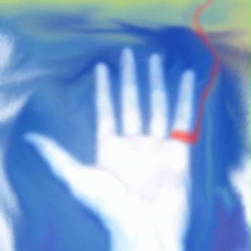 掌