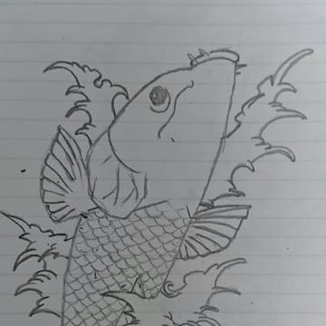 鯉