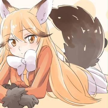 キタキツネ