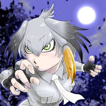ハシビロコウちゃん