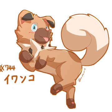 イワンコ