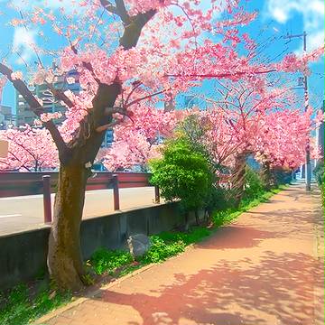 【背景素材】桜・街中など6枚