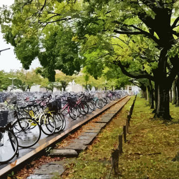 「尾坂」