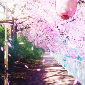 グンマ　華蔵寺公園