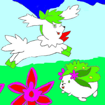 シェイミの日