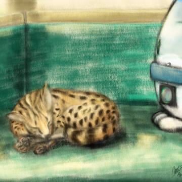 ごめんね、すぐ戻るから。