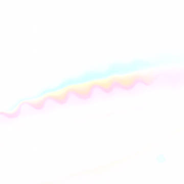 bug
