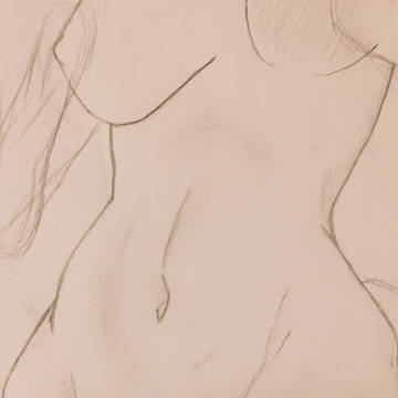 良いお腹が描けたので