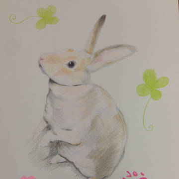 うさぎ