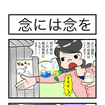 インコ四コマ「てのりのふじさん」55