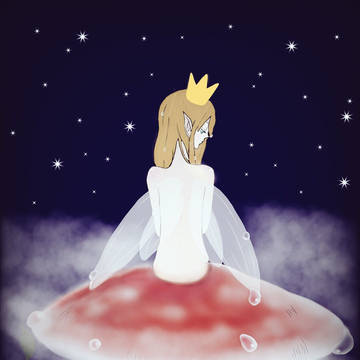fairy night