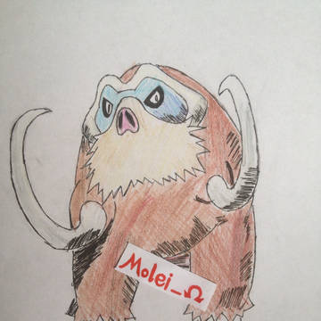 象牙猪