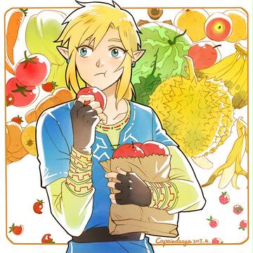 Breath of the Wild
