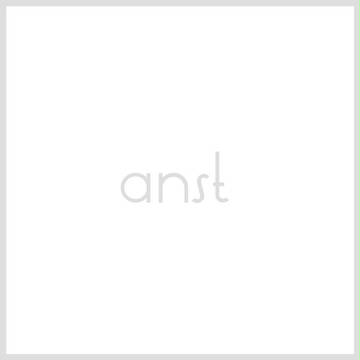 anst