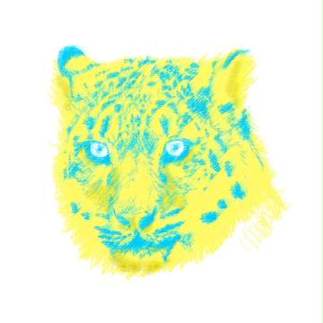 Wild cats