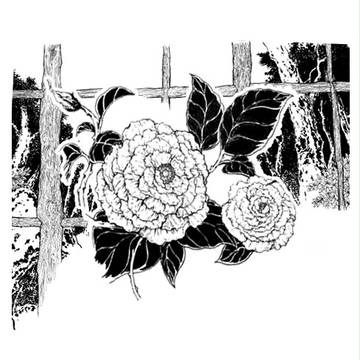 華　　作画