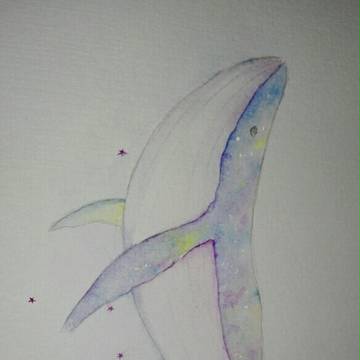 鲸鱼