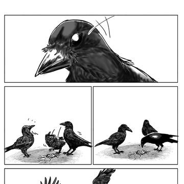 Page 12 thumbnail
