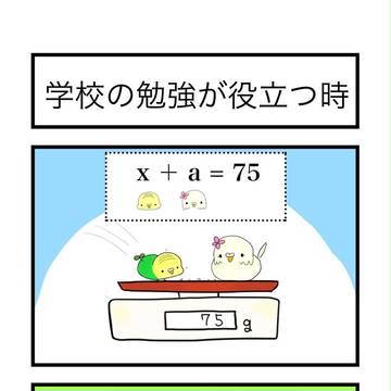 インコ四コマ「てのりのふじさん」56