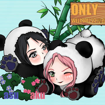 SASUSAKU onlyの応援