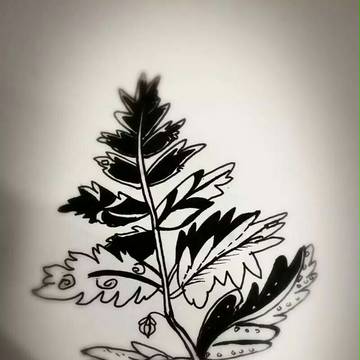plant