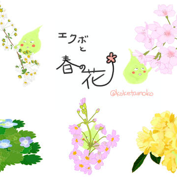 エクボと春の花