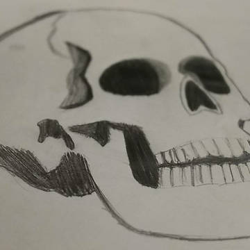 頭骸骨改良