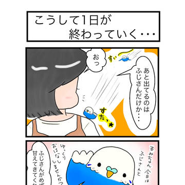 インコ四コマ「てのりのふじさん」57