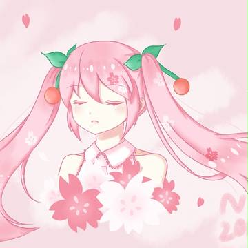 樱花miku