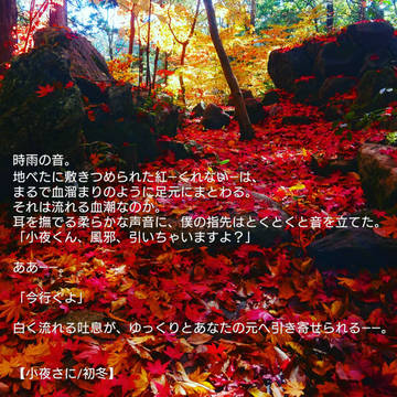 小説用