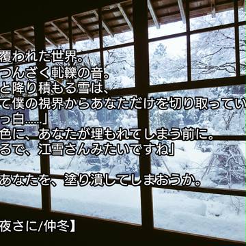 小説用