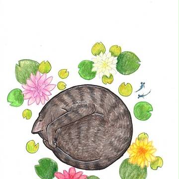 nekodarake スイレン