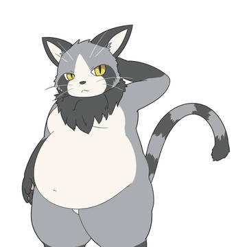 たぬきねこ