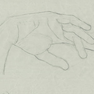 手