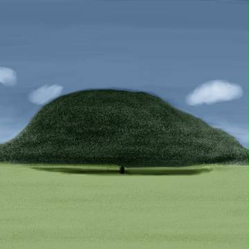 気になる木