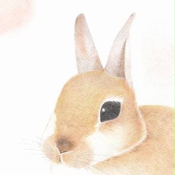 受注イラスト、うさぎさん