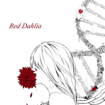 Red Dahlia