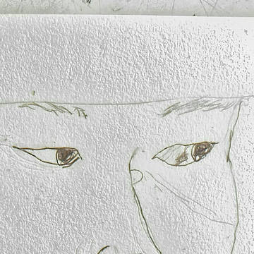 初めて描いた眼光