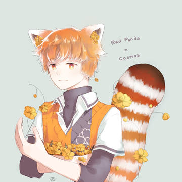 03