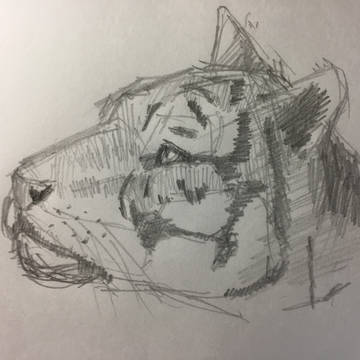 模写
