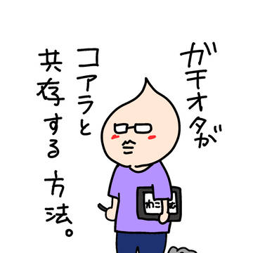 ガチオタがコアラと共存する方法。