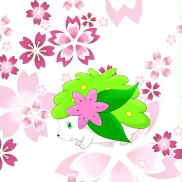 シェイミ